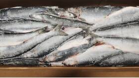 Азбука Вкуса: Сельдь Премиум Класса в Газпром