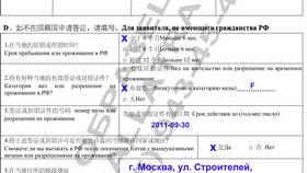 Как правильно заполнить анкету на визу в Китай в Газпром