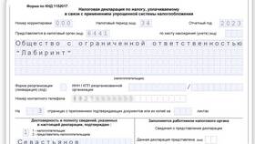 Как сдать декларацию по УСН для ИП в Газпром