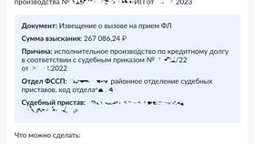 Сроки проведения оплаты судебным приставам через Госуслуги в Газпром