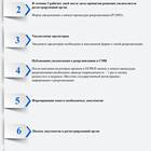 Как создать организацию ООО: пошаговая инструкция