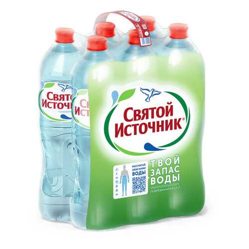 Вода питьевая Святой Источник газированная 1.5 л 6 штук в упаковке в Газпром